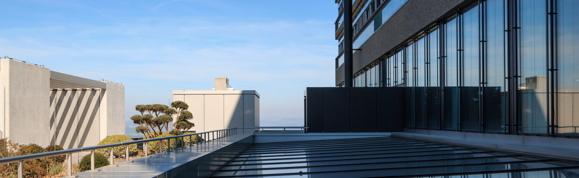 Dachverglasungen/Oberlichter